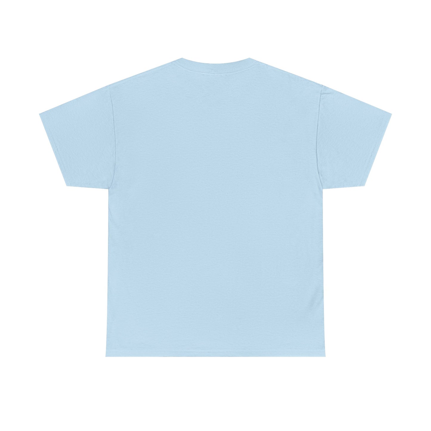 BIFF TANNEN UNISEX HEAVYWEIGHT TEE SHIRT