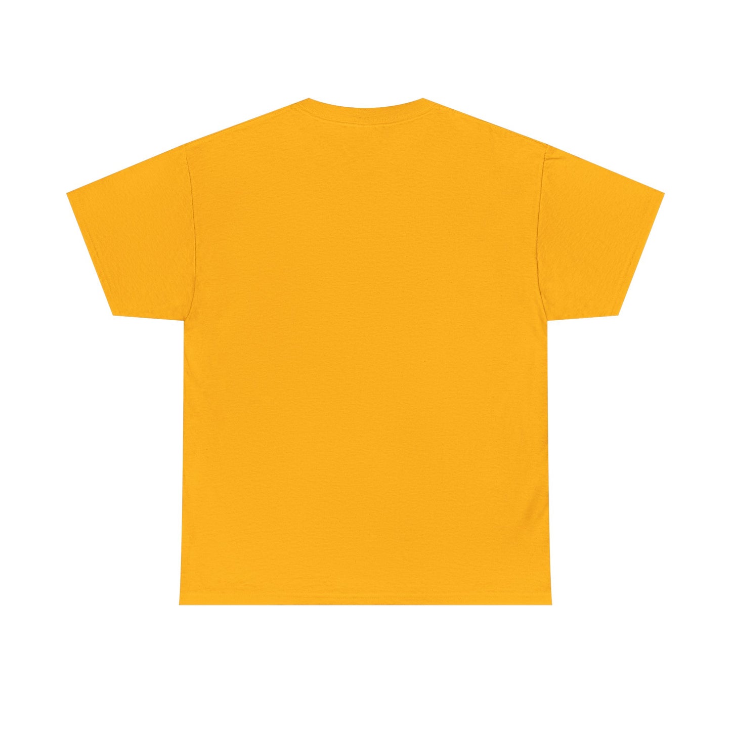 BIFF TANNEN UNISEX HEAVYWEIGHT TEE SHIRT