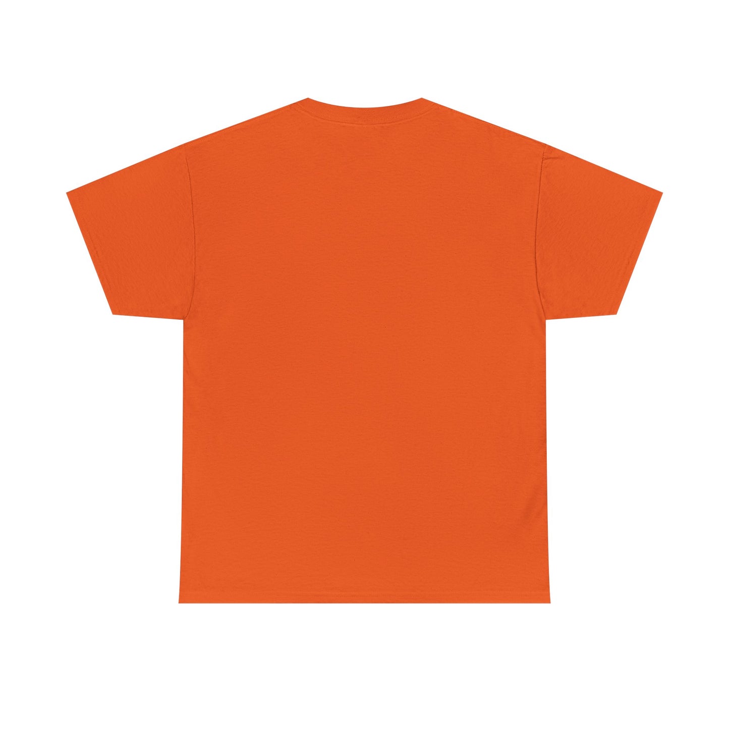 BIFF TANNEN UNISEX HEAVYWEIGHT TEE SHIRT